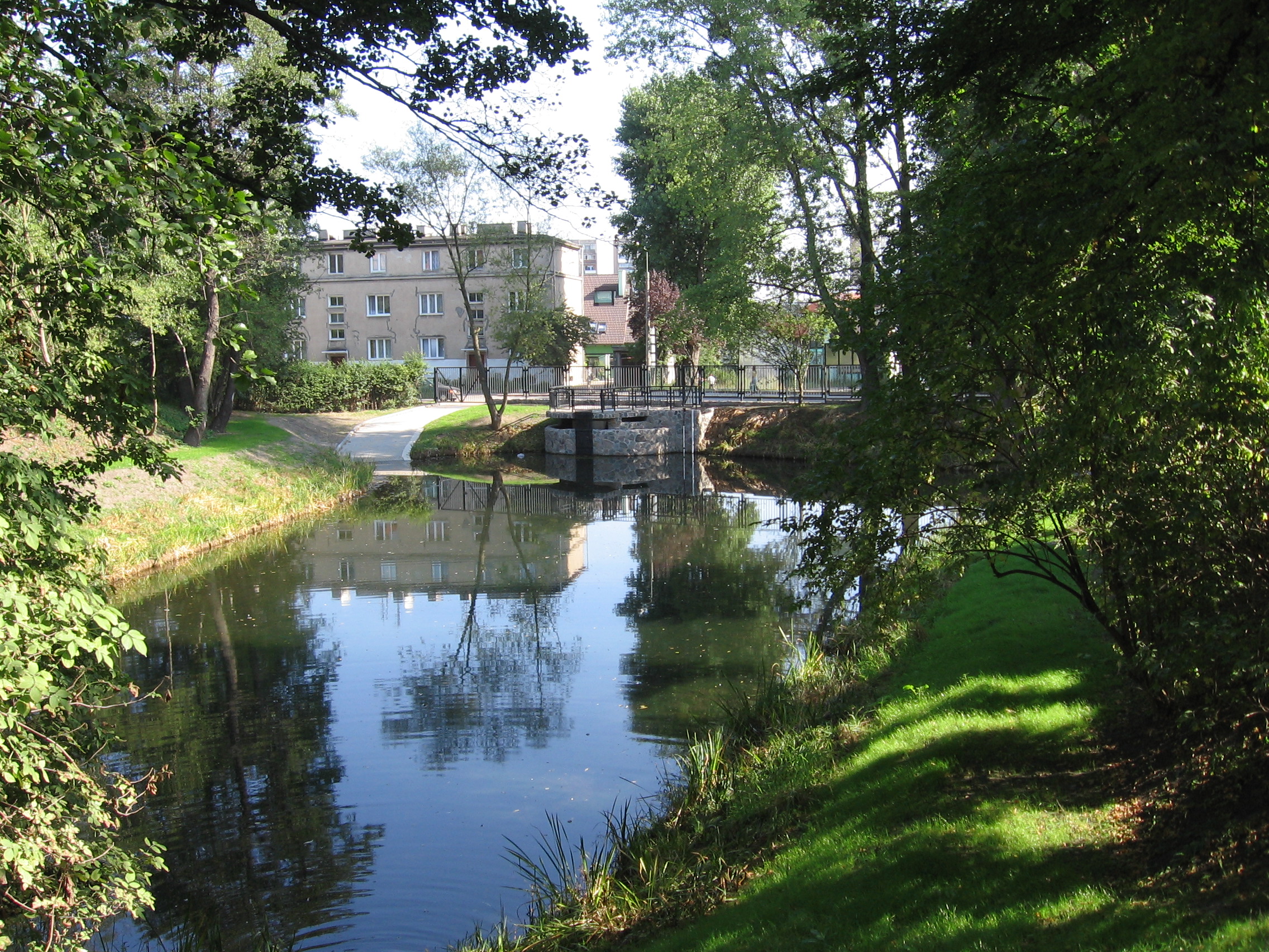 staw łokietka, zbiorniki retencyjne, zbiornik retencyjny, modernizacja zbiorników retencyjnych, budowa zbiorników retencyjnych