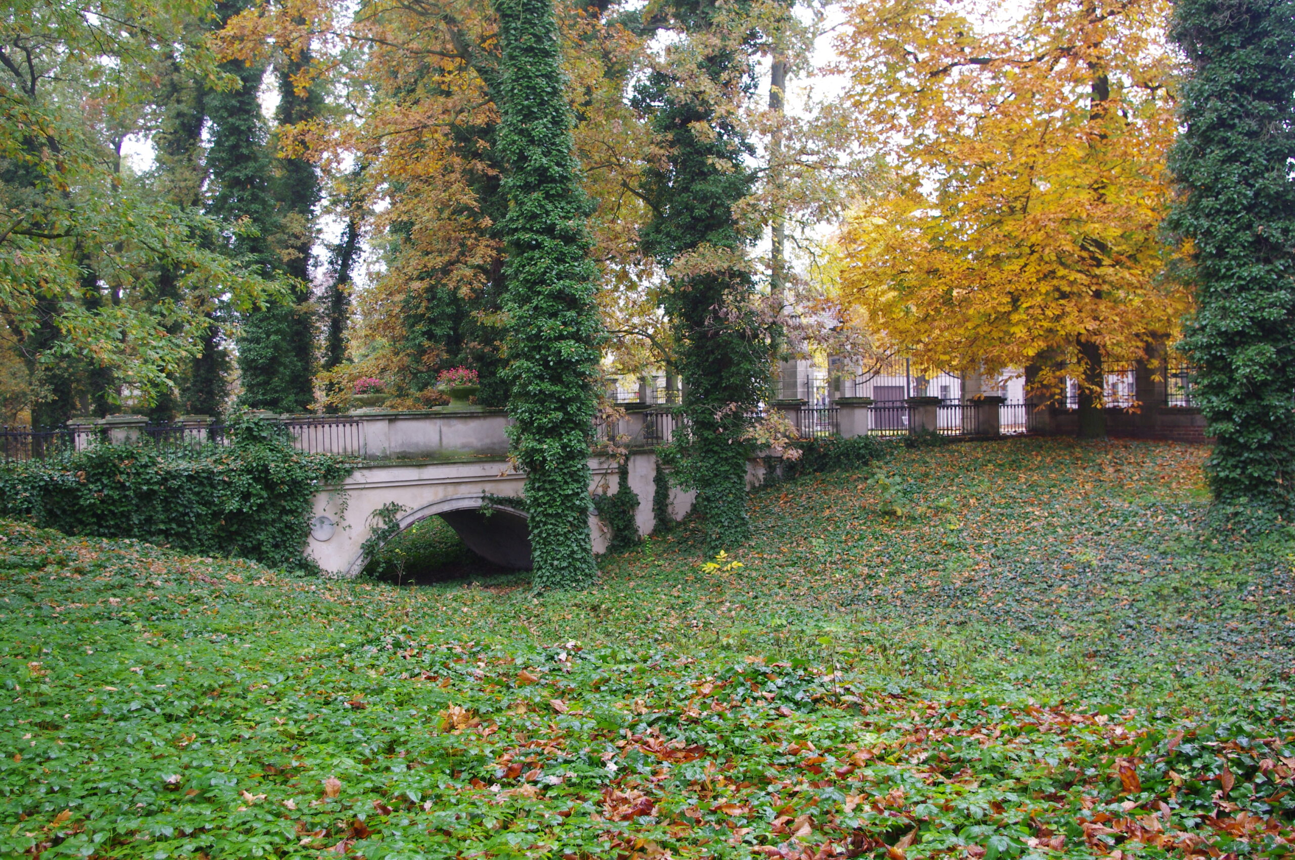 konstrukcje, rewitalizacja zabytków, jota, renowacja zabytków
