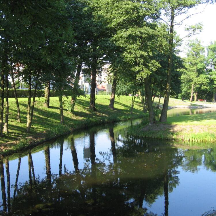 staw reja, zbiorniki retencyjne, zbiornik retencyjny, modernizacja zbiorników retencyjnych, budowa zbiorników retencyjnych
